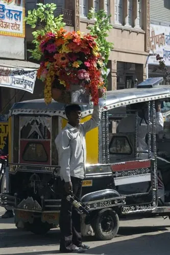Nápadník? (Jodhpur)