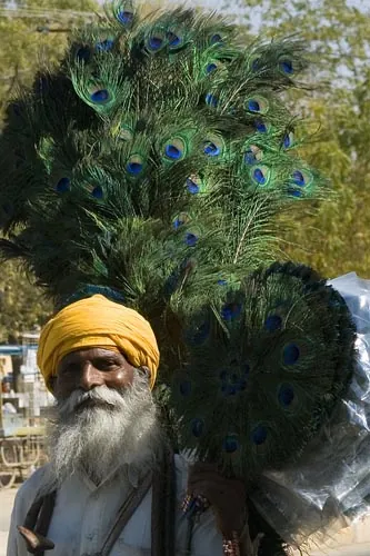 Pávy muž  (Jaisalmer)