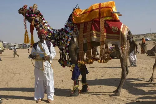 Najkrajšie ozdobená ťava 2006 (Jaisalmer)