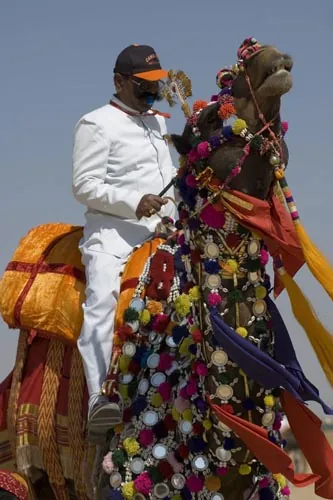 Ťavie pólo - rozhodca (Jaisalmer)