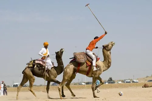Ťavie pólo (Jaisalmer)