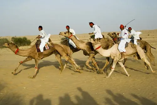 Ťavie preteky - finále (Jaisalmer)