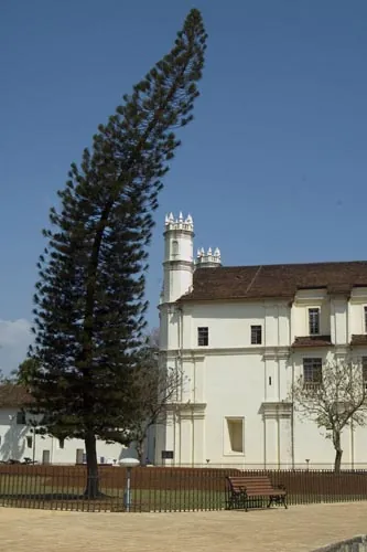 Náklonnosť... (Old Goa)