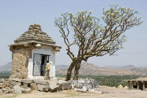 Chrám a strom (Hampi)